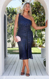 Alejandro Sequin Midi Dress - Navy Pink