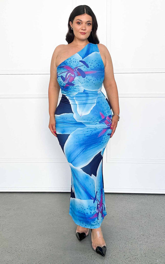Alyssa Mesh Maxi Dress - Blue Floral