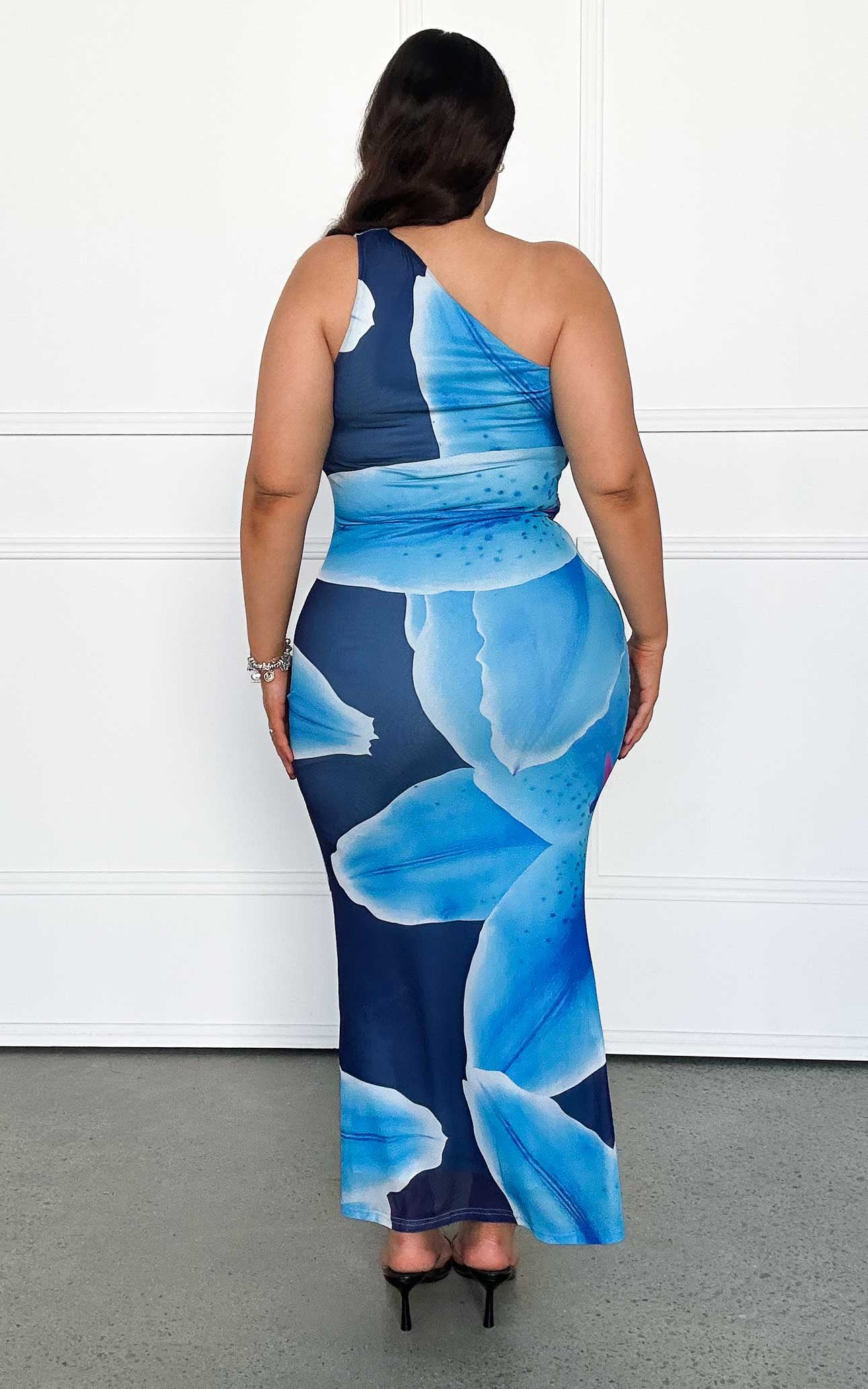 Alyssa Mesh Maxi Dress - Blue Floral