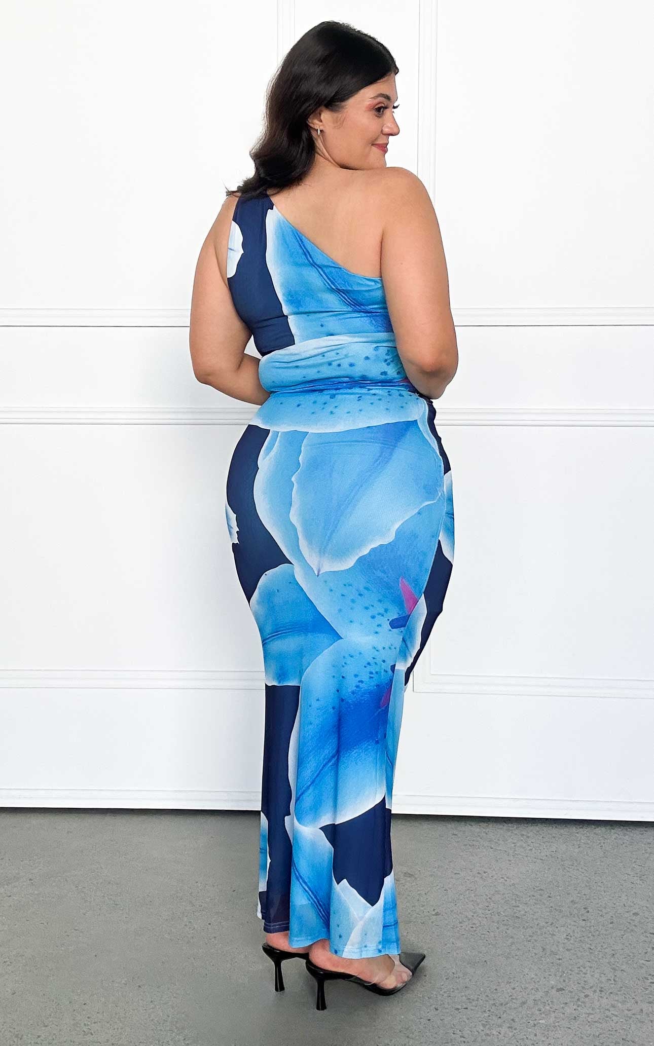 Alyssa Mesh Maxi Dress - Blue Floral