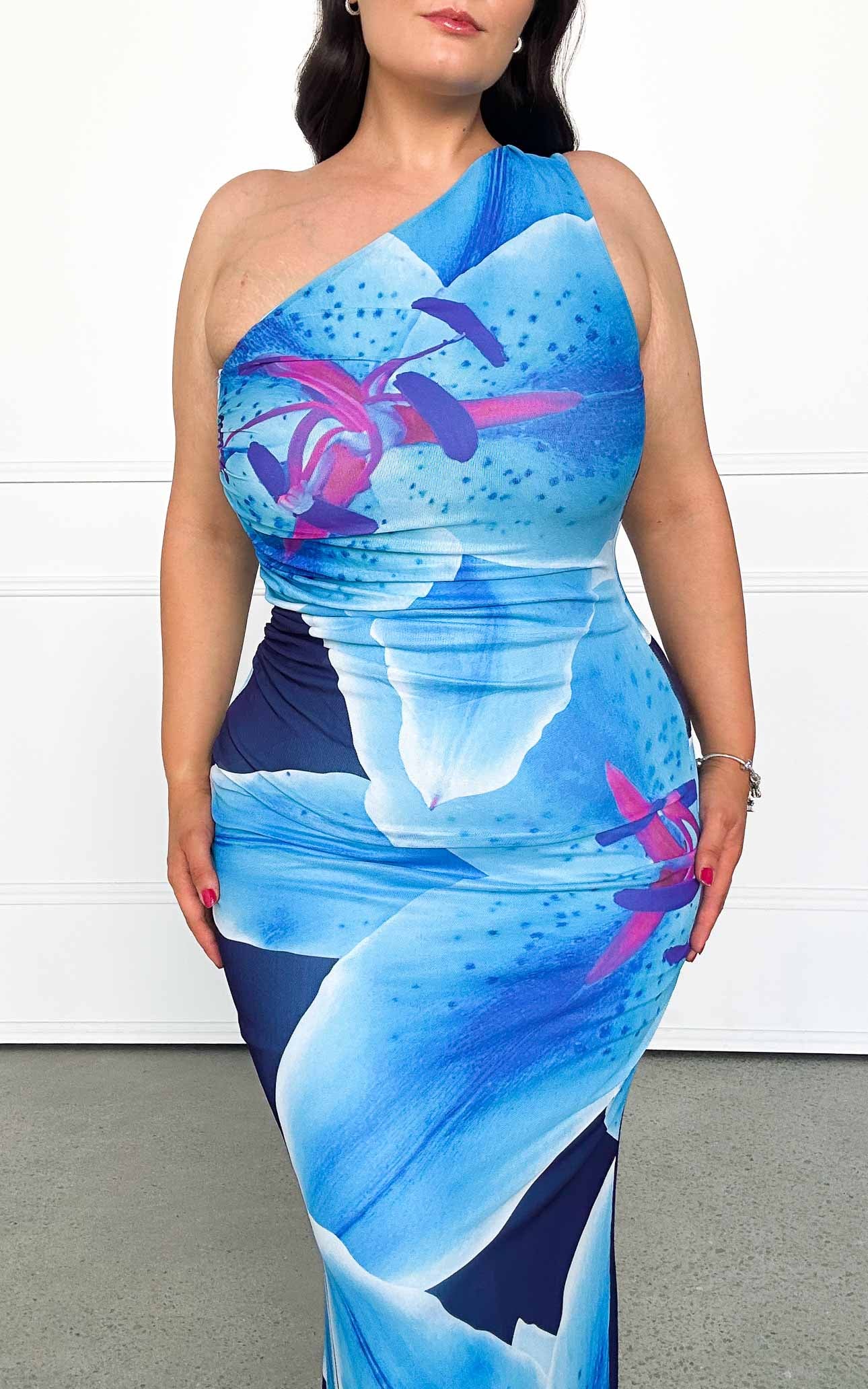 Alyssa Mesh Maxi Dress - Blue Floral