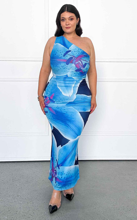 Alyssa Mesh Maxi Dress - Blue Floral