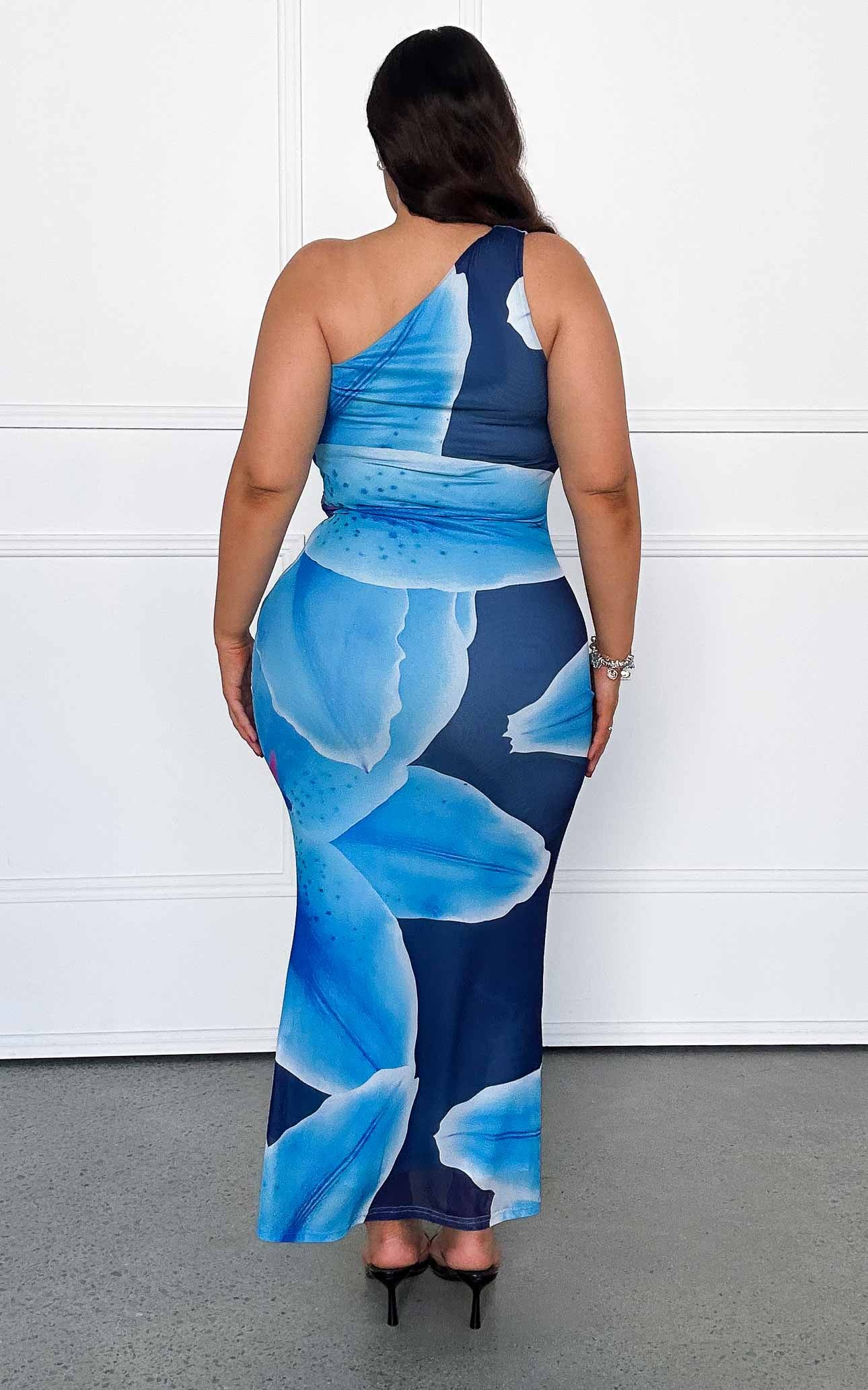 Alyssa Mesh Maxi Dress - Blue Floral