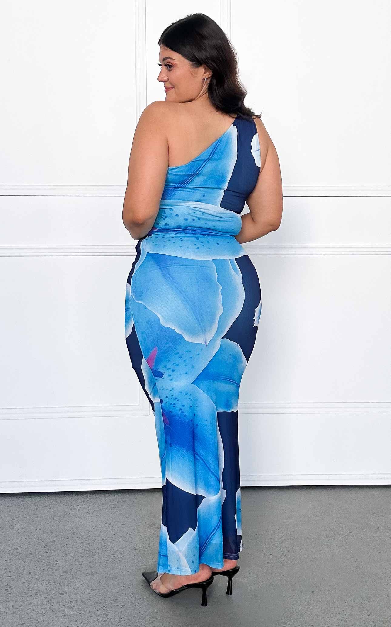 Alyssa Mesh Maxi Dress - Blue Floral
