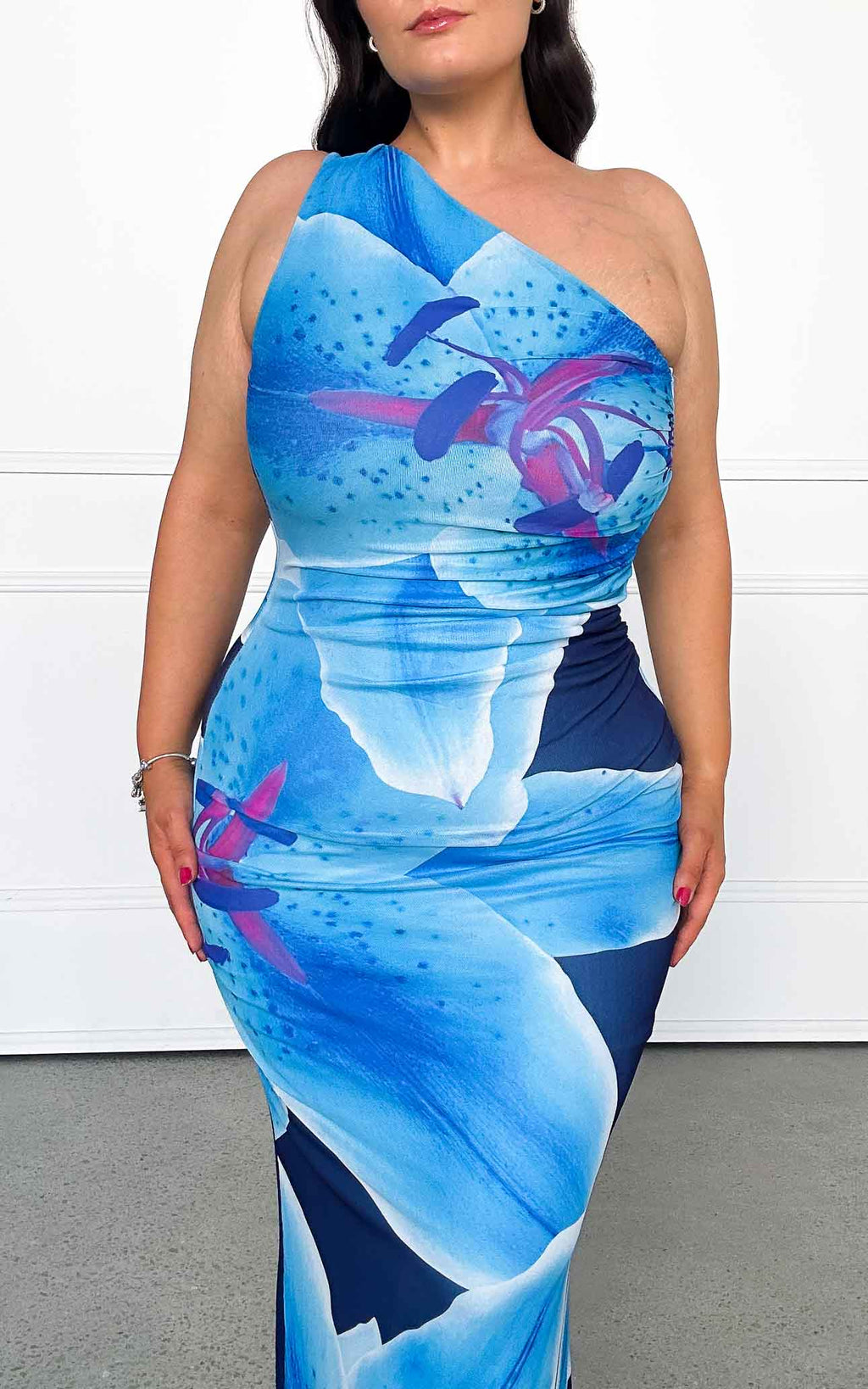 Alyssa Mesh Maxi Dress - Blue Floral