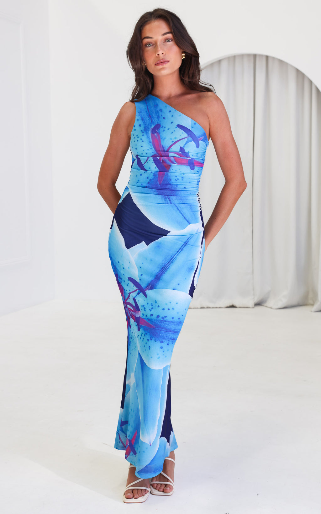 Alyssa Mesh Maxi Dress - Blue Floral