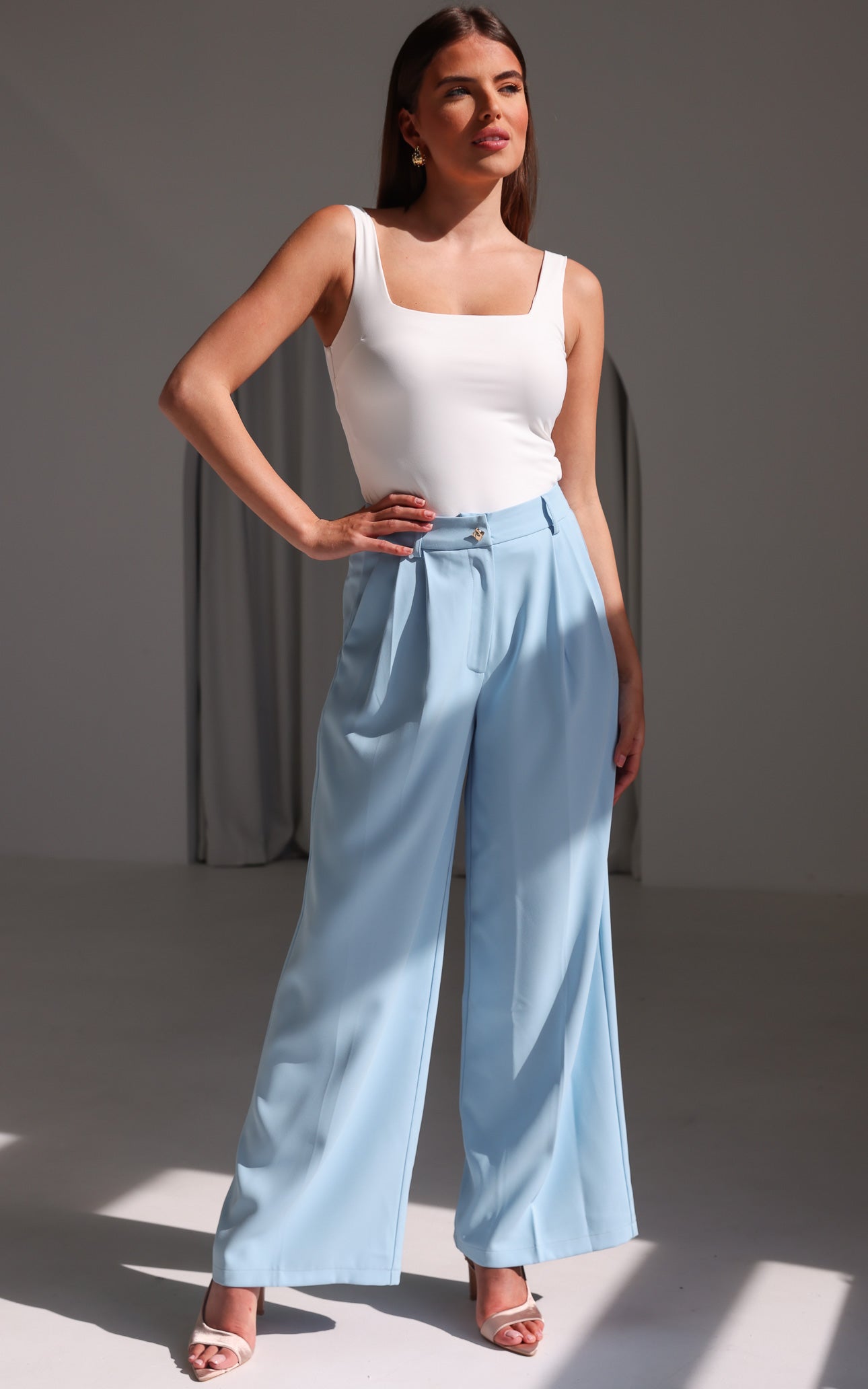 Carson Wide Leg Pants - Baby Blue