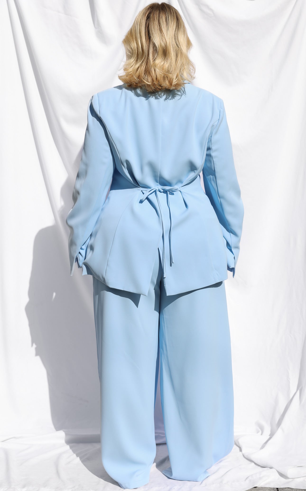 Carson Wide Leg Pants - Baby Blue