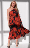 Denver Long Sleeve Maxi Dress - Black Red Floral