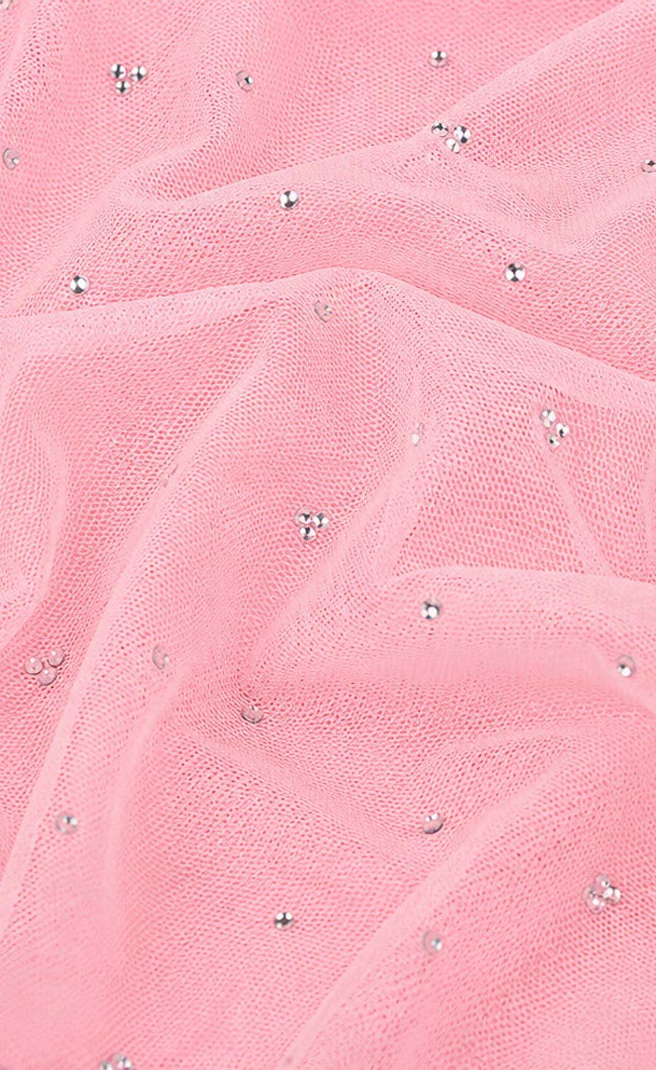 Lennyn Embellished Mesh Maxi Skirt - Pink
