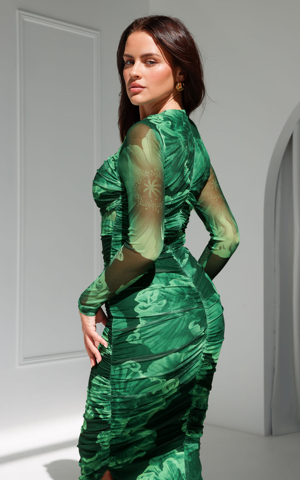 Olida Long Sleeve Mesh Maxi Dress - Green Floral