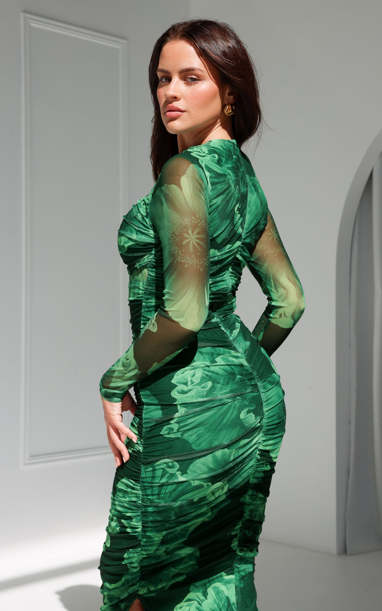 Olida Long Sleeve Mesh Maxi Dress - Green Floral
