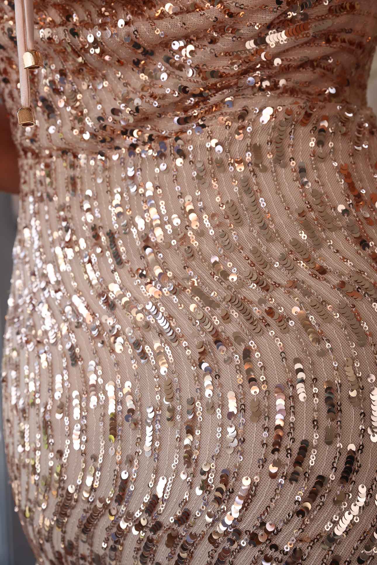 Schiffer Maxi Dress - Beige Rose Gold Sequin