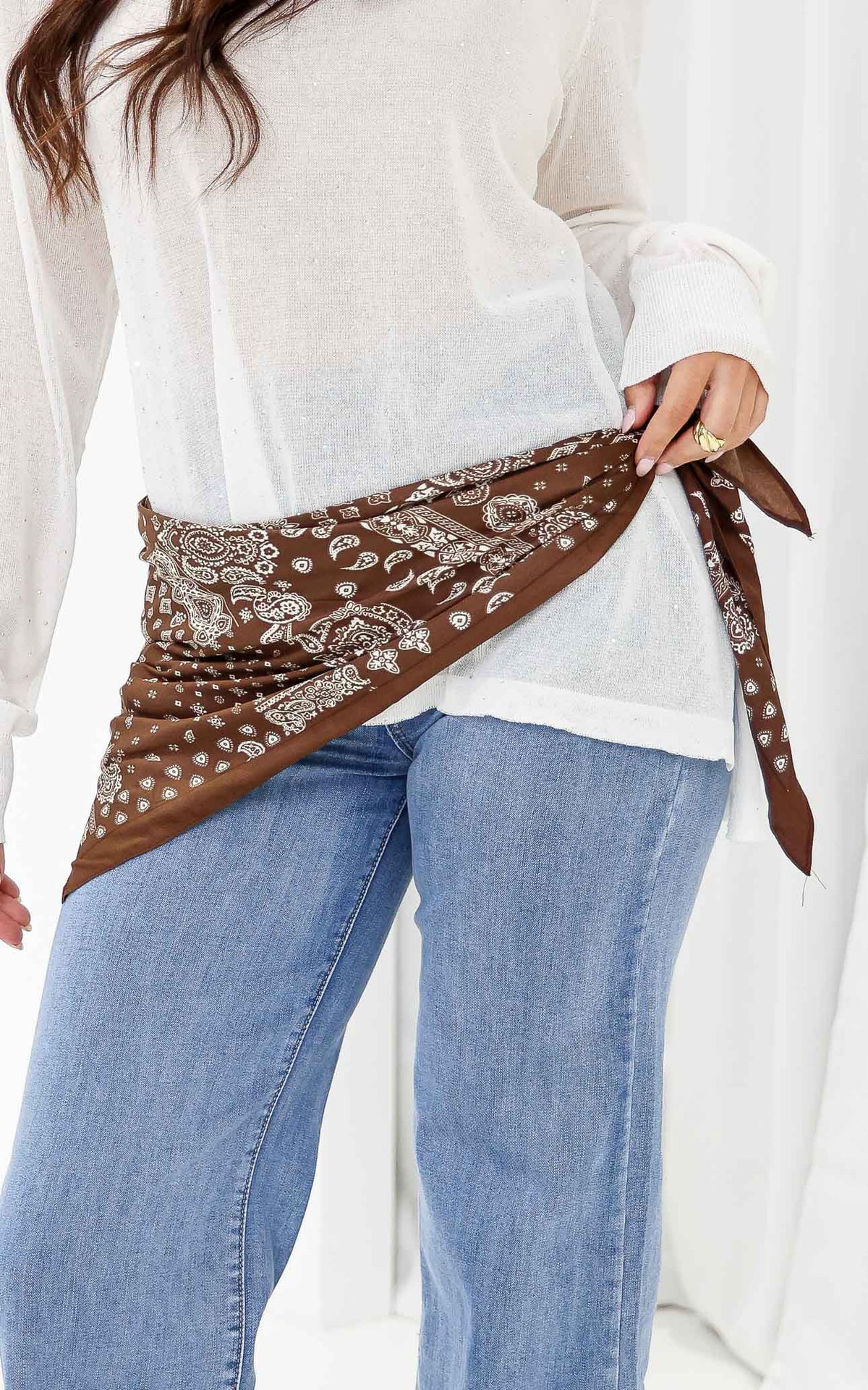 Snoop Triangle Bandana - Brown Paisley Print