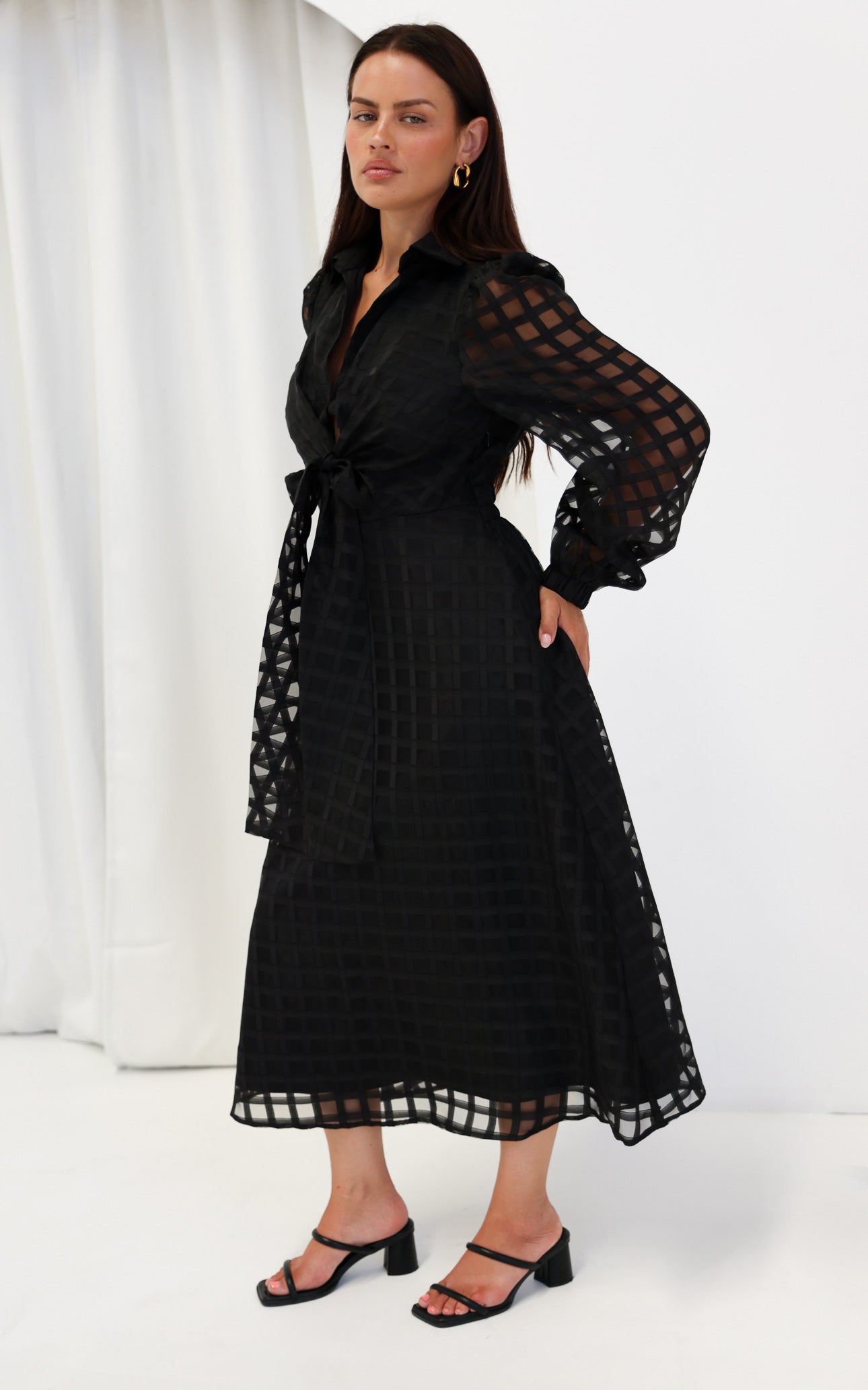 Zoeva Long Sleeve Maxi Dress - Black Check Organza