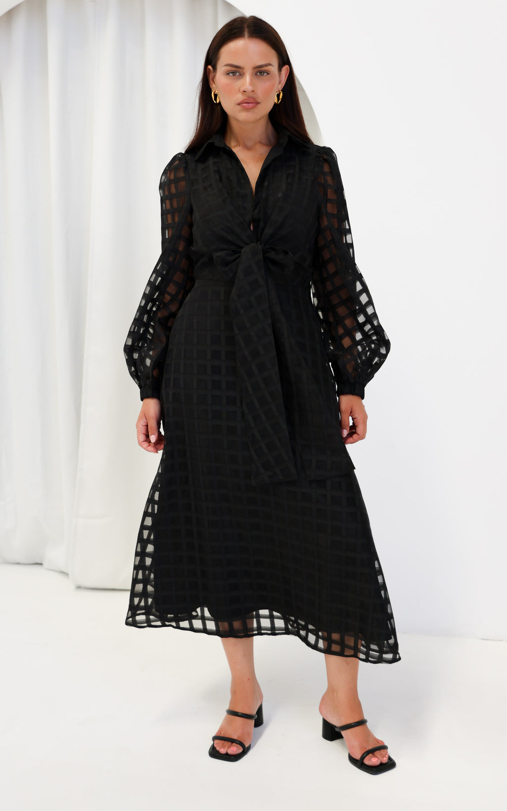 Zoeva Long Sleeve Maxi Dress - Black Check Organza