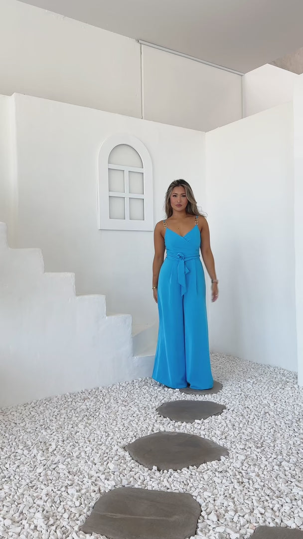 Diaz Shirred Back Panel Wide Leg Jumpsuit - Blue