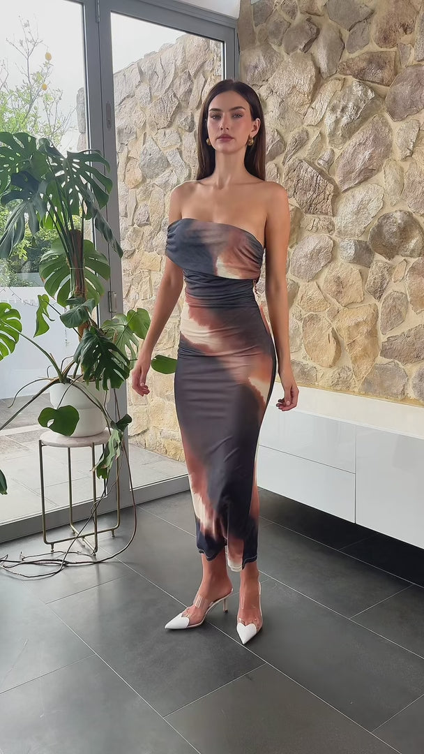 Salem Mesh Maxi Dress - Brown Multi Print
