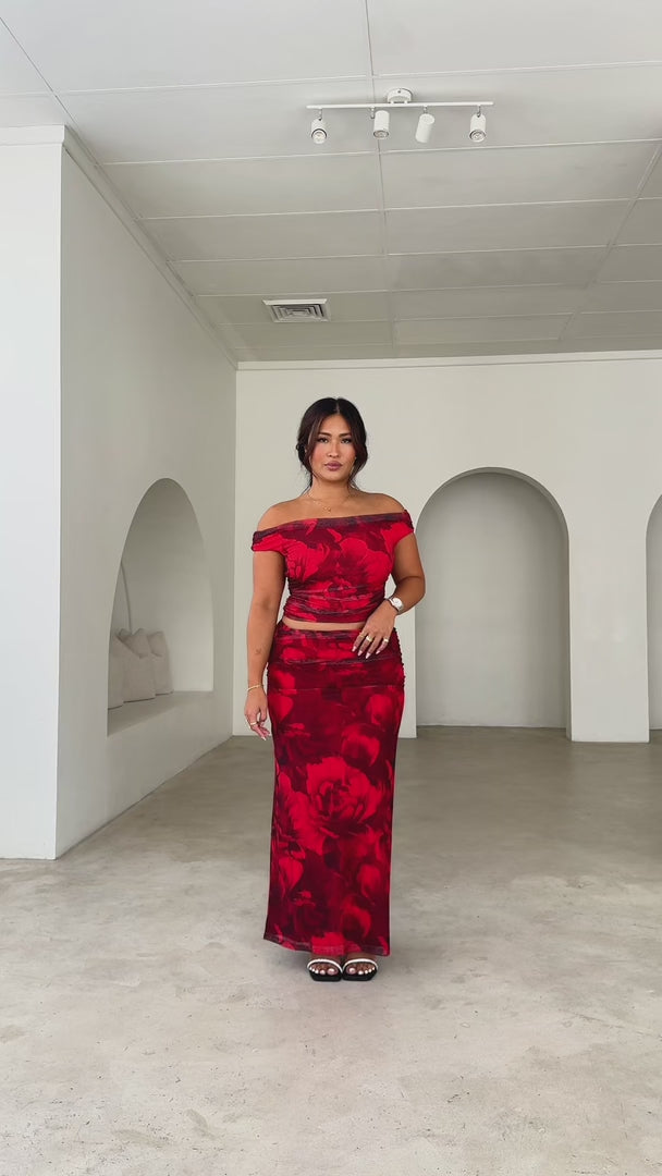 Lavon Mesh Maxi Skirt - Red Floral