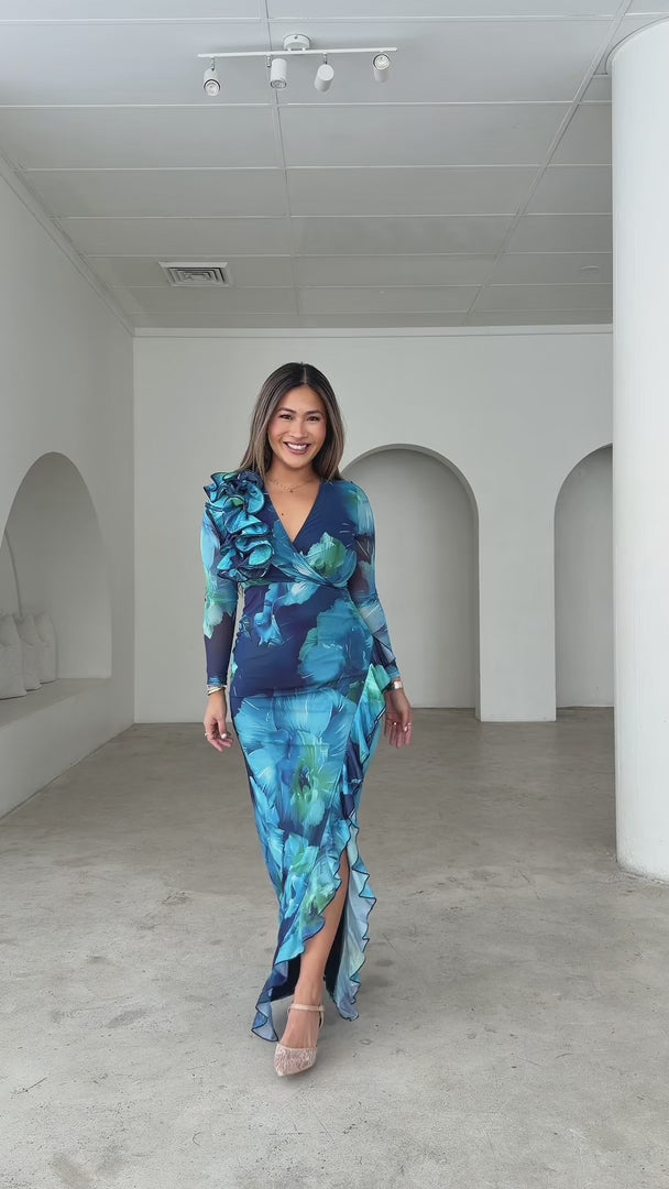 Leandro Long Sleeve Mesh Maxi Dress - Blue Green Floral