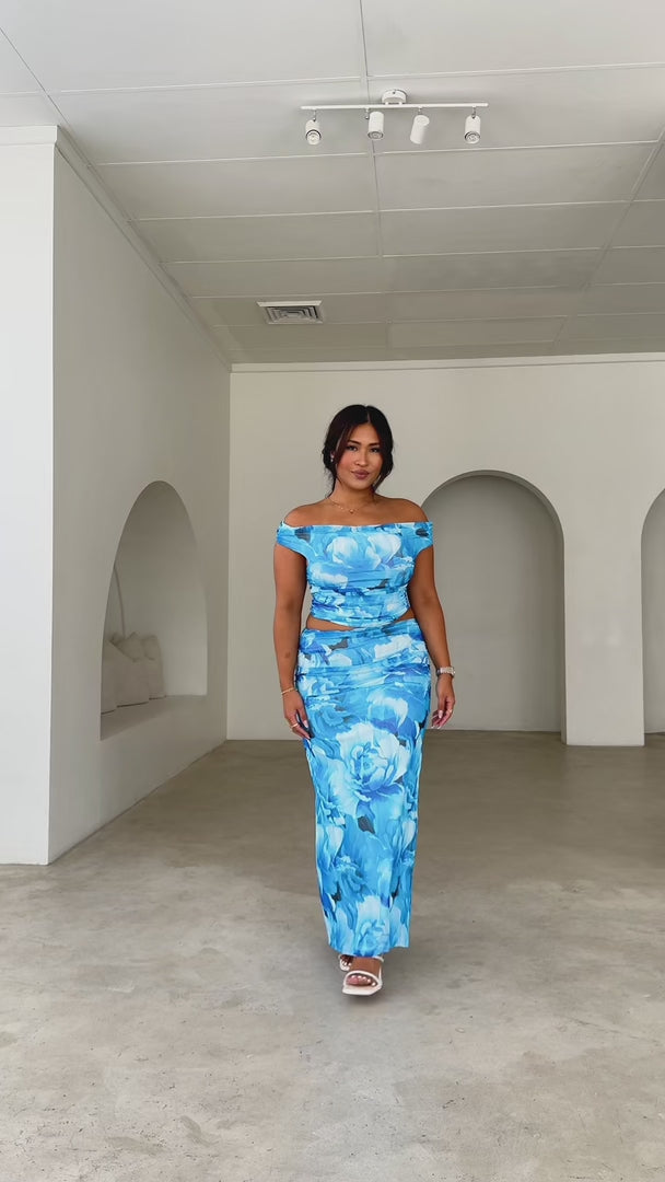 Lavon Mesh Maxi Skirt - Blue Floral